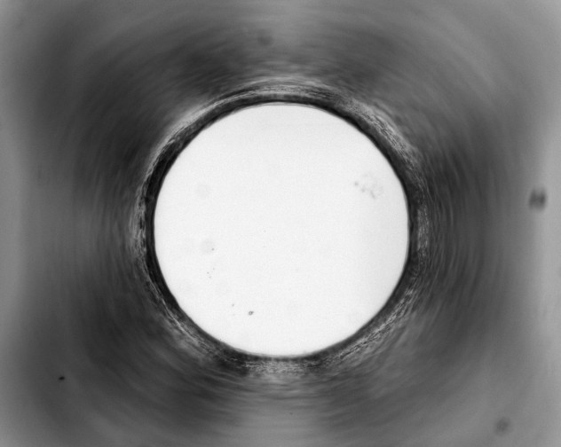 X0000103441164200810101059