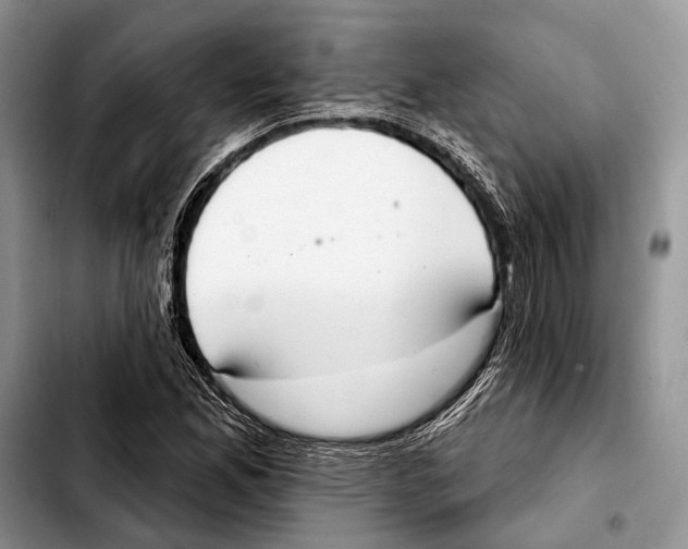 X0000103441165200810101059