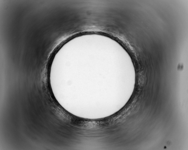 X0000103441167200810101059