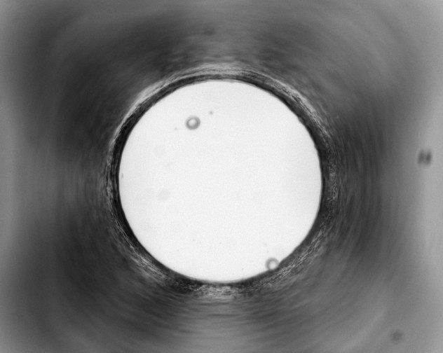 X0000103441168200810101059