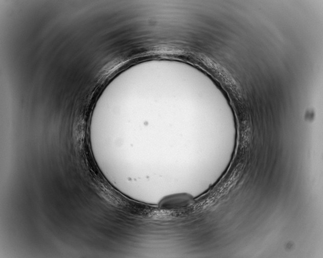 X0000103441169200810101059