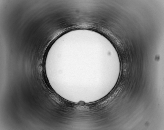 X0000103441170200810101058