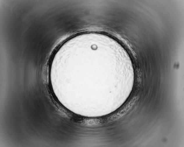X0000103441171200810101058