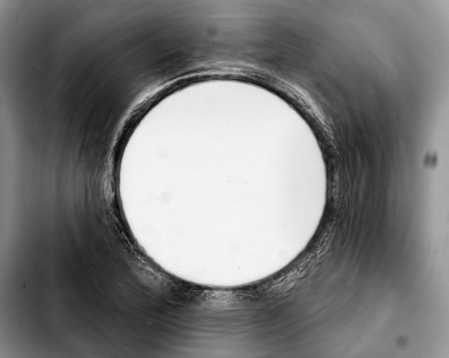 X0000103441172200810101058