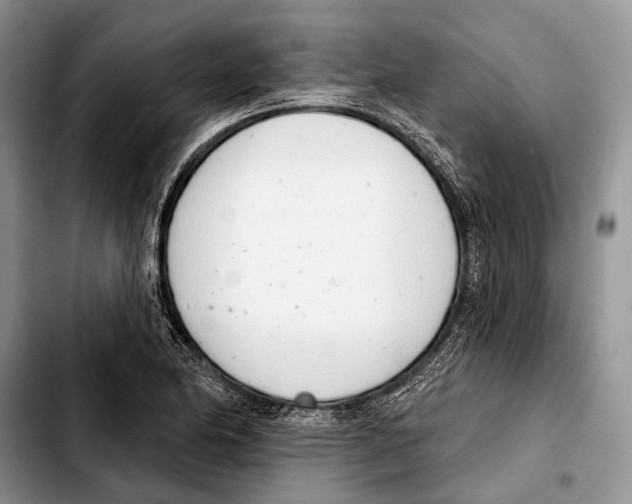 X0000103441174200810101058
