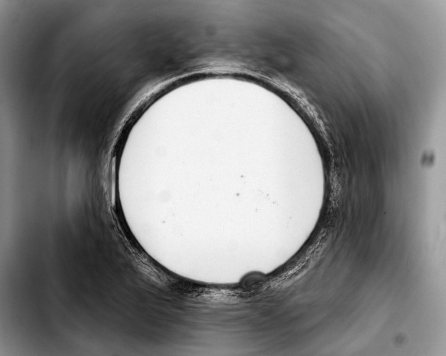 X0000103441175200810101058