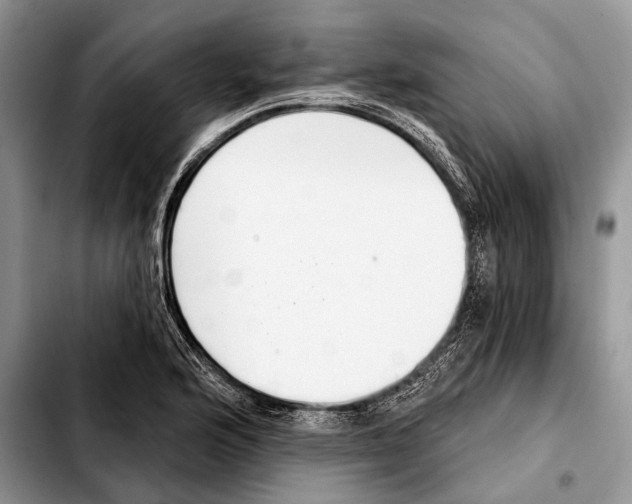 X0000103441176200810101058