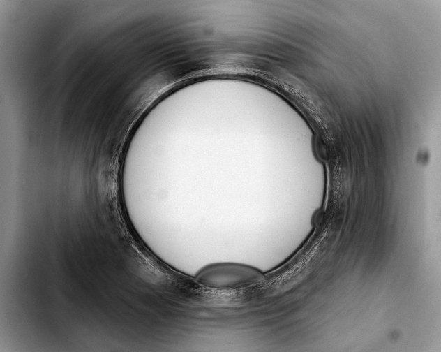 X0000103441177200810101058