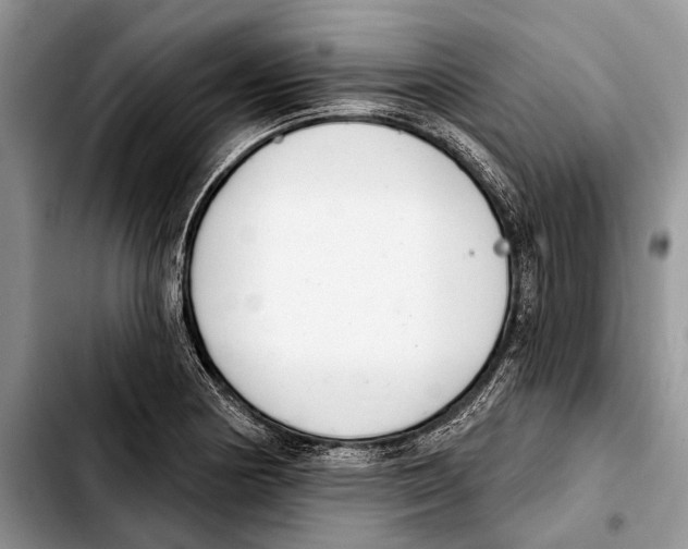 X0000103441178200810101058