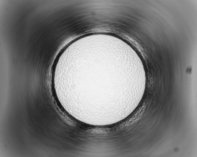 X0000103441179200810101058