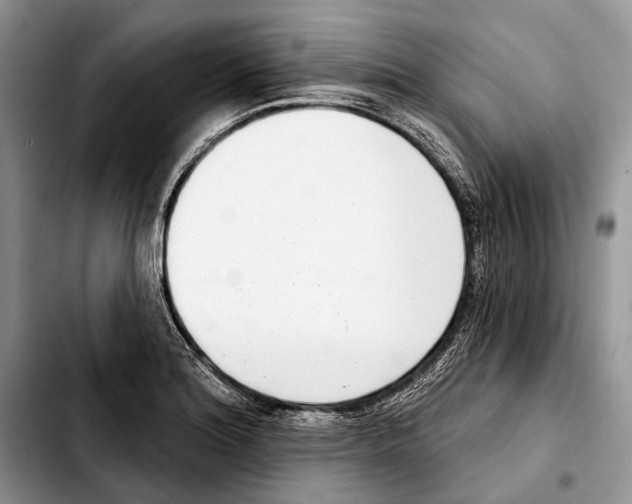 X0000103441180200810101058