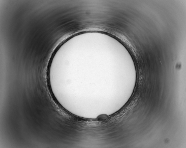 X0000103441181200810101058
