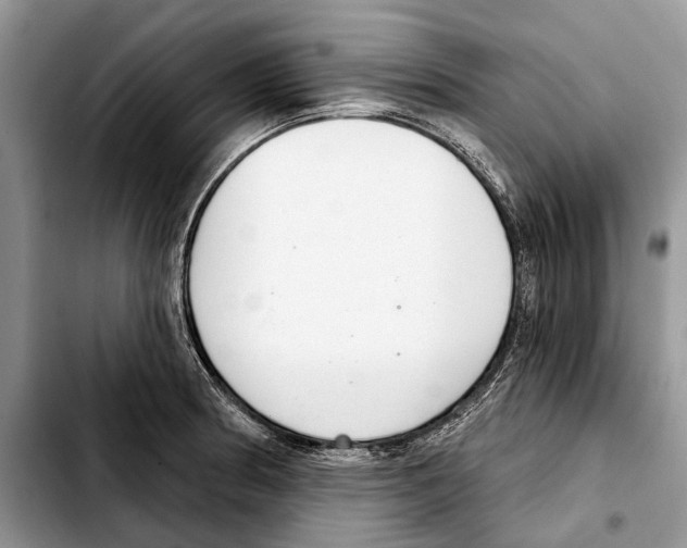 X0000103441186200810101058