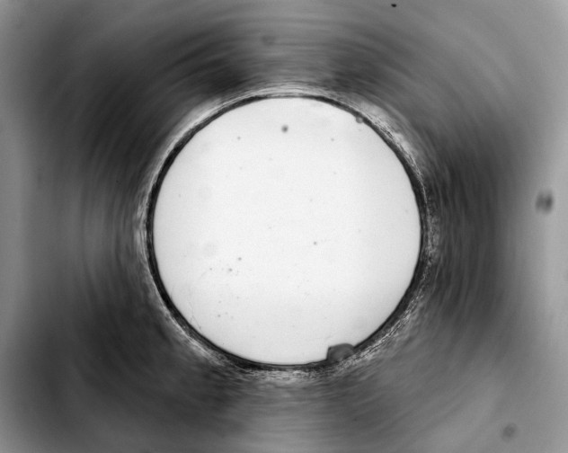 X0000103441189200810101058