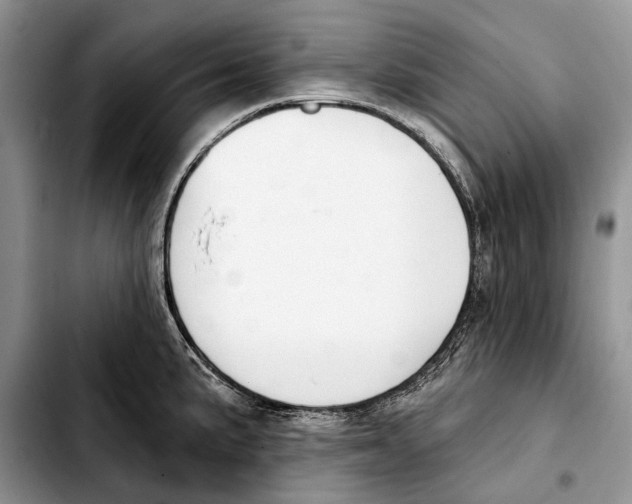 X0000103441191200810101058
