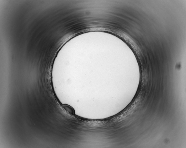 X0000103441193200810101058