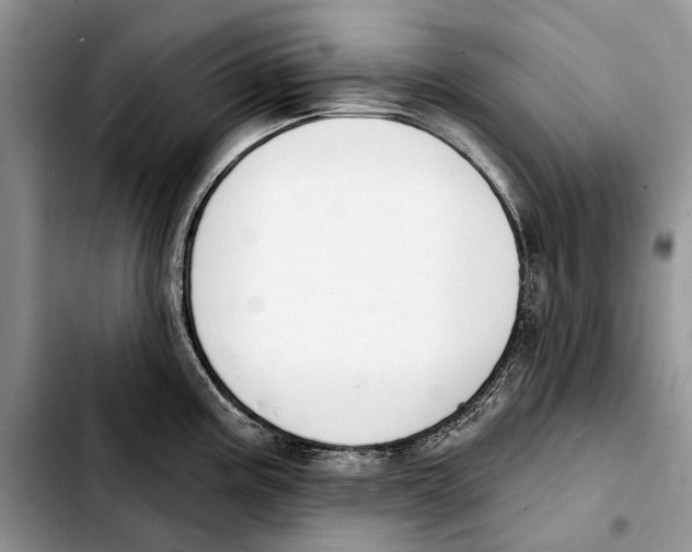 X0000103441195200810101058