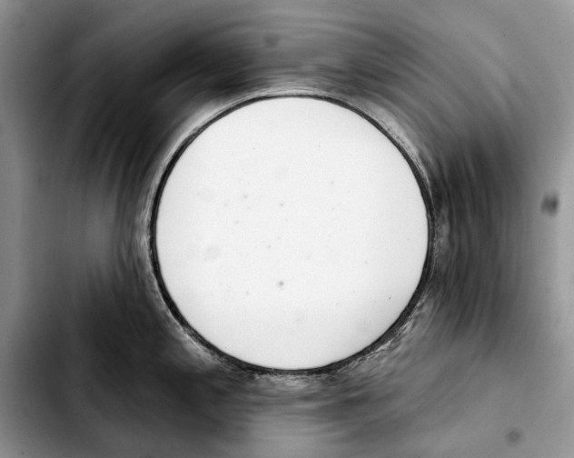 X0000103441197200810101058
