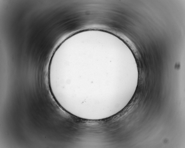 X0000103441199200810101058