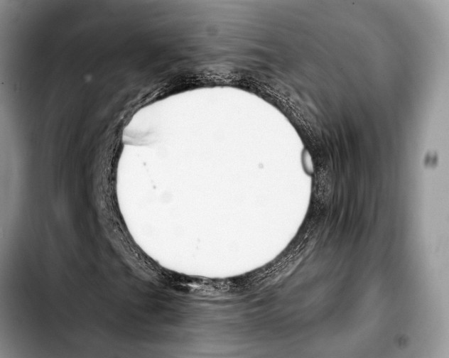 X0000103441201200810101057