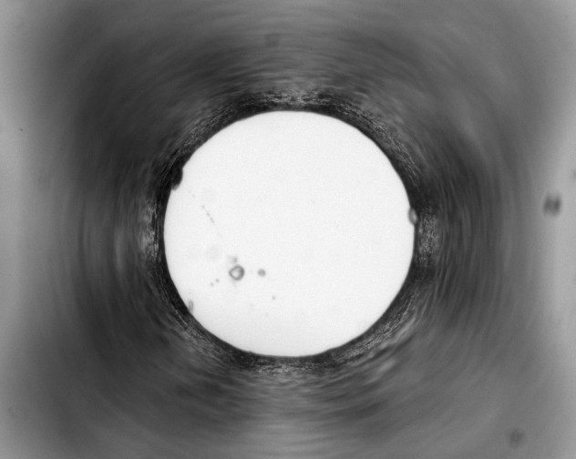 X0000103441202200810101057