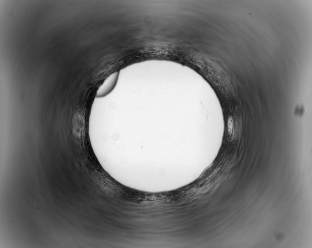 X0000103441203200810101057