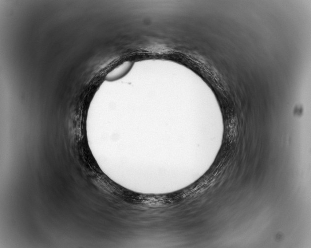 X0000103441205200810101057