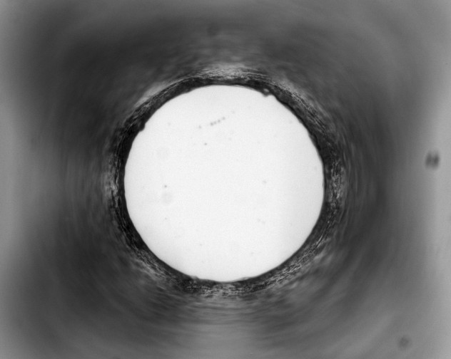 X0000103441206200810101057
