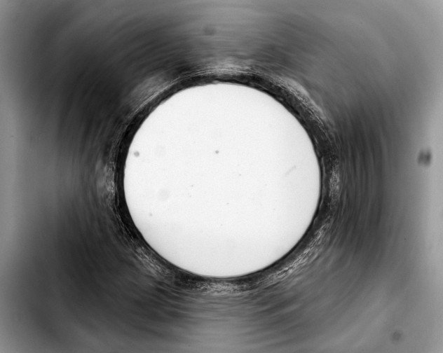 X0000103441209200810101057