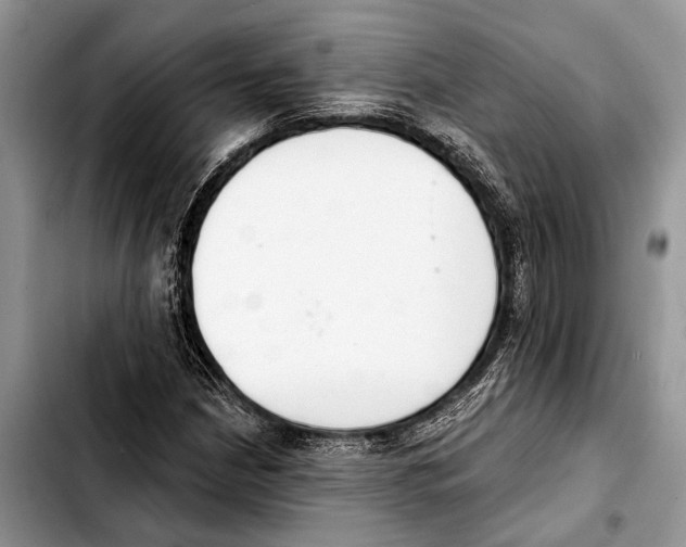 X0000103441210200810101057