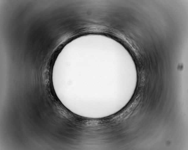 X0000103441211200810101057
