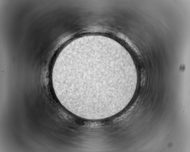 X0000103441213200810101058