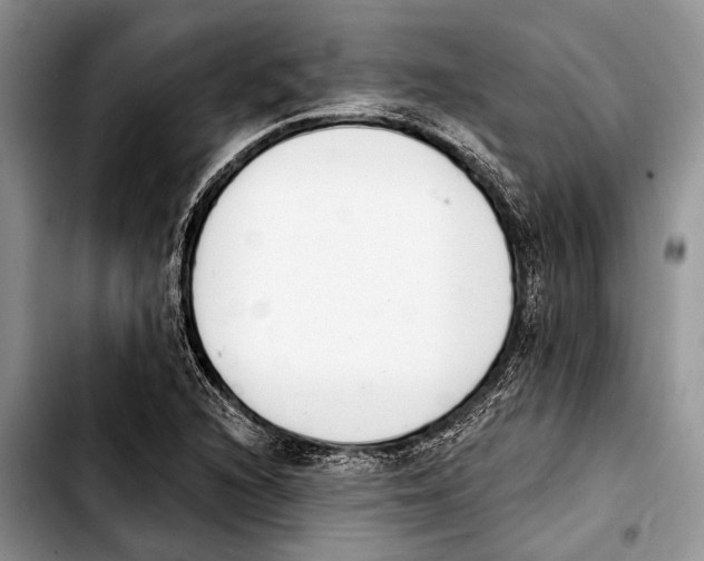 X0000103441216200810101058