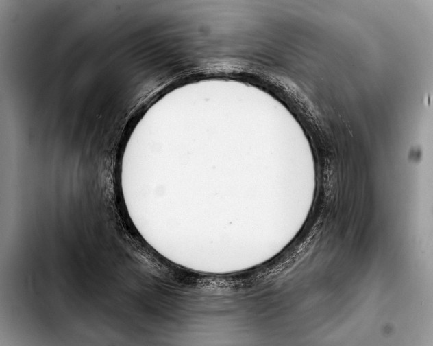 X0000103441217200810101058