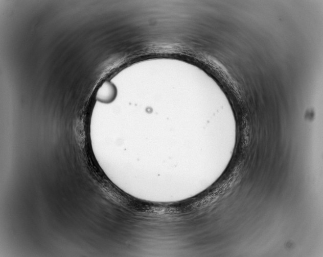 X0000103441218200810101058
