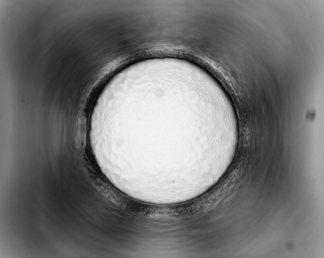 X0000103441219200810101058