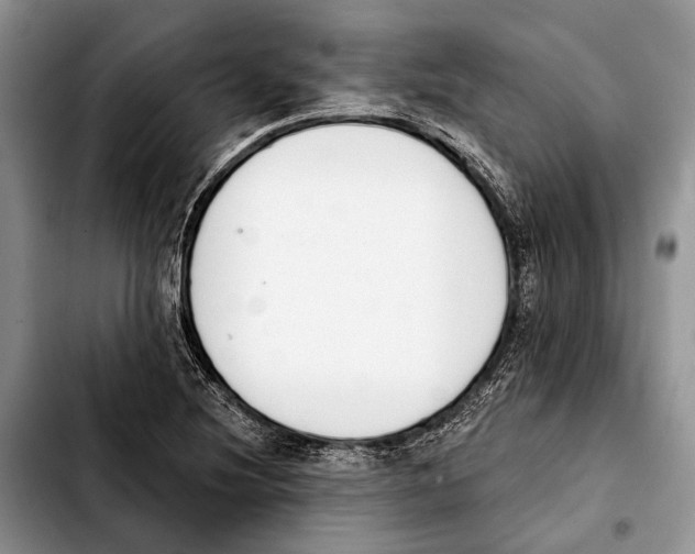 X0000103441220200810101058