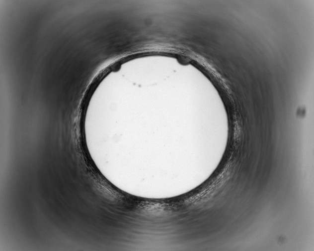 X0000103441222200810101058