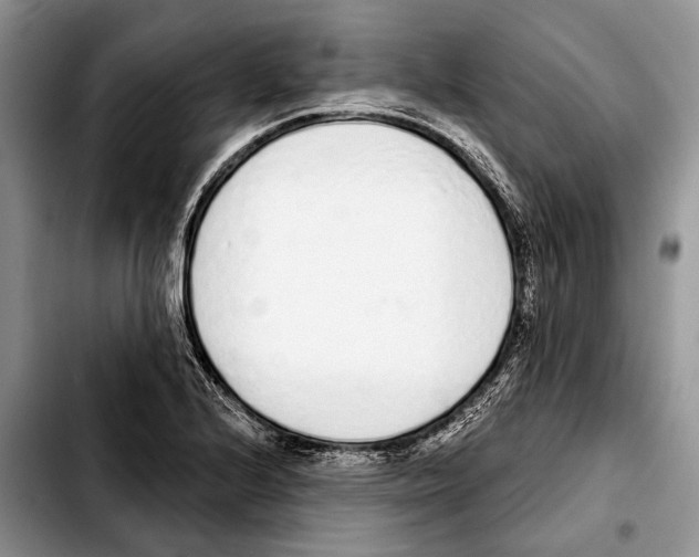 X0000103441224200810101058