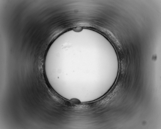 X0000103441225200810101058