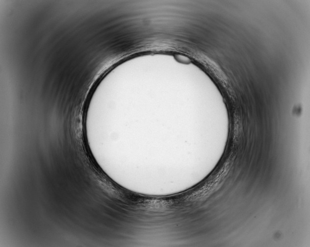 X0000103441226200810101058