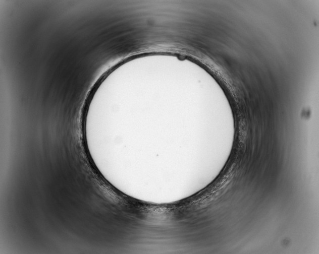 X0000103441230200810101058