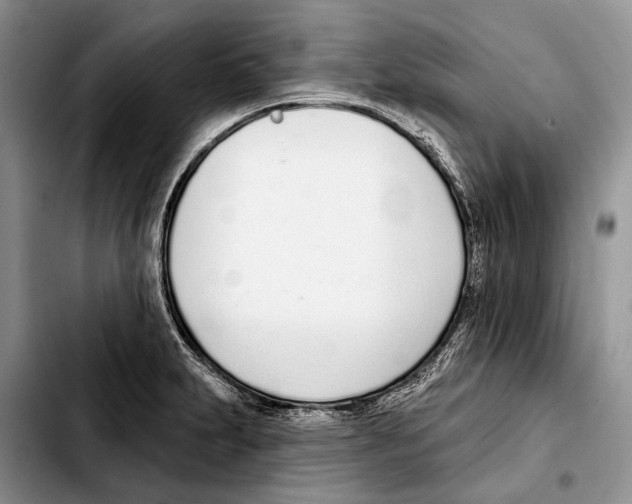 X0000103441231200810101058