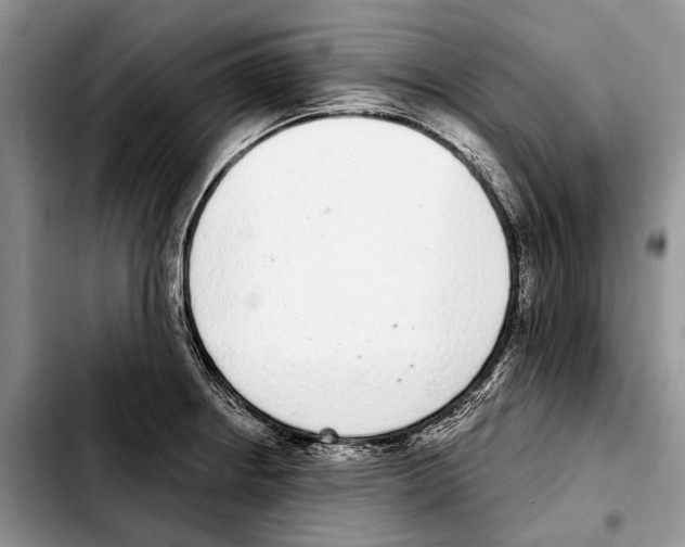 X0000103441234200810101058