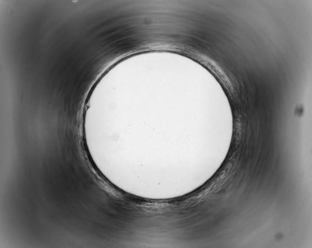 X0000103441236200810101058