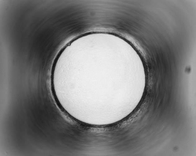 X0000103441237200810101058