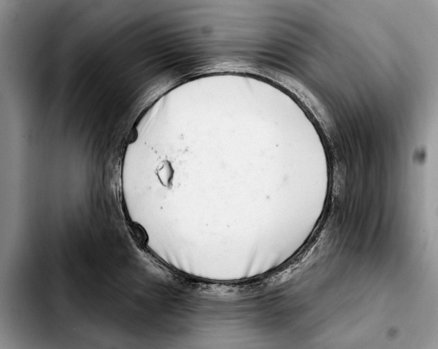 X0000103441241200810101058