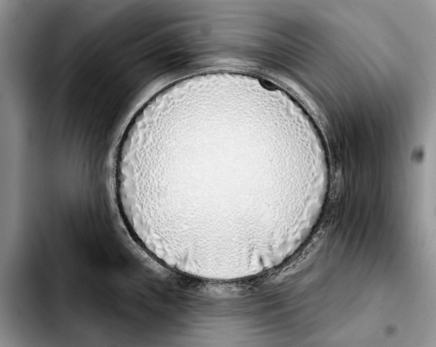X0000103441243200810101058