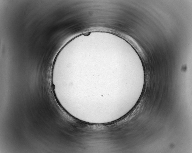 X0000103441244200810101058
