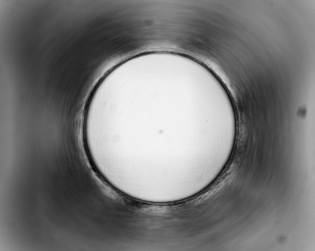 X0000103441245200810101058